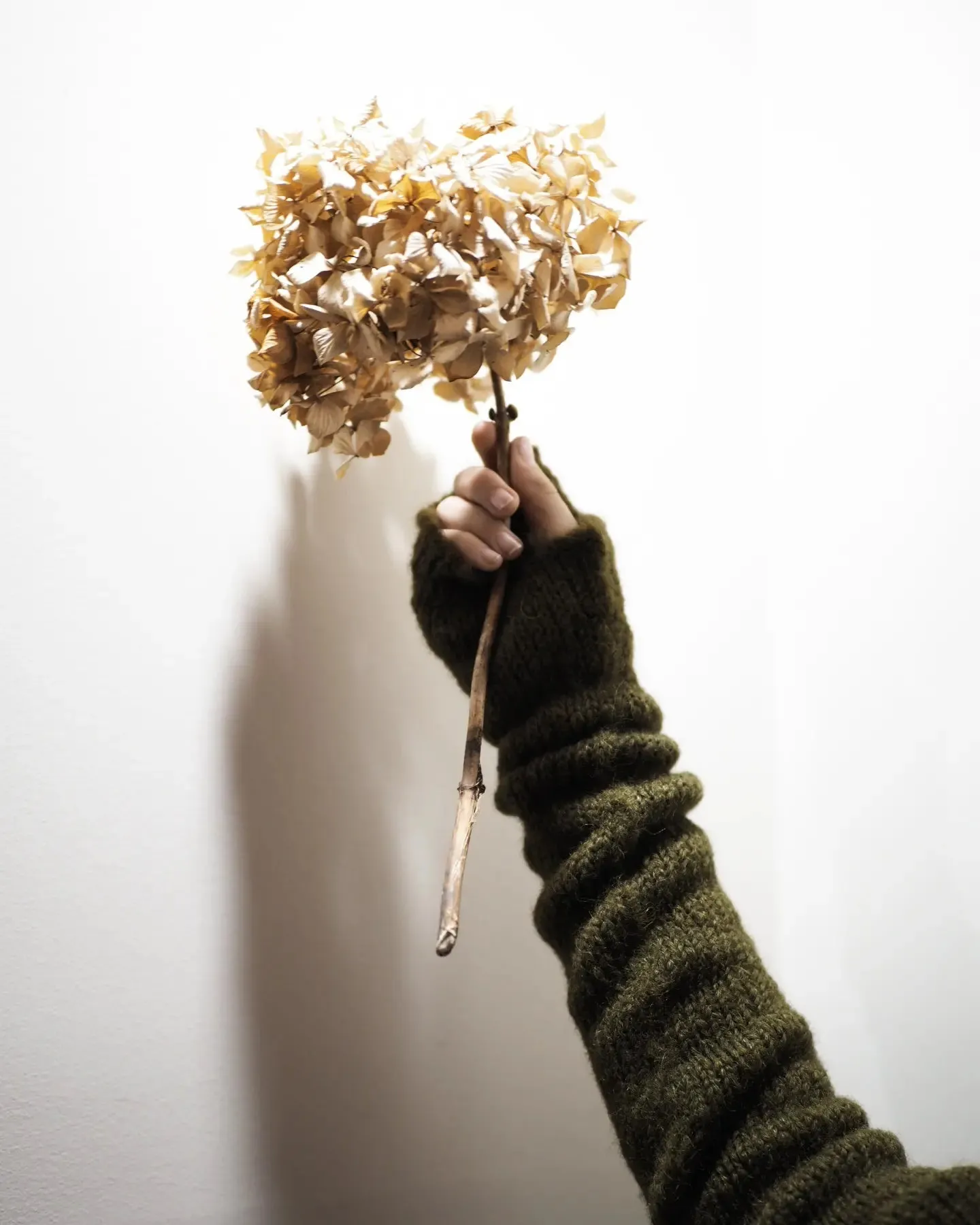 Long line mittens / sleeves (Alpaca)
